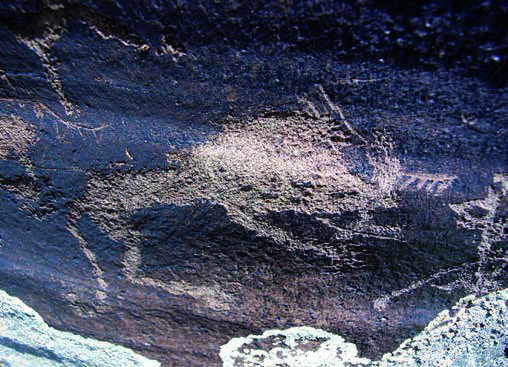 Shemales. The image of a predatory beast (wolf?). Photo Z. Samashev