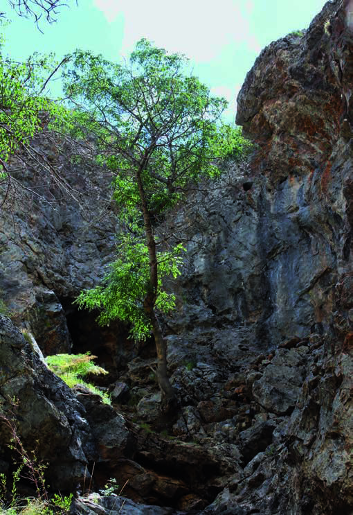 A mysterious cave. Photo by E. Smagulov