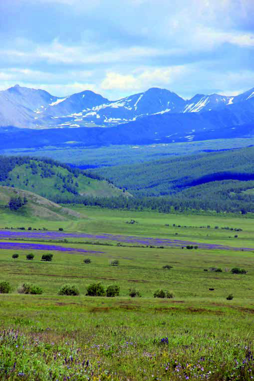 A circus is a natural phenomenon that arose as a result of the formation of a glacier. Photo by A.E. Chotbaev