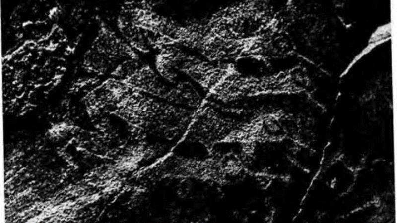 Exploration of rock art in Kazakhstan