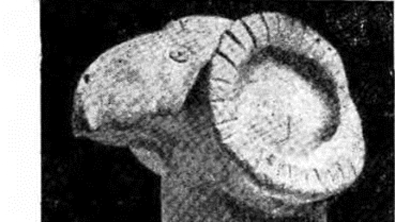 Research in the Dzhetyasar tract