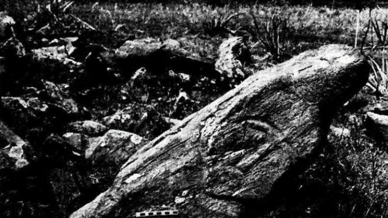 Study of Dzungarian Alatau petroglyphs