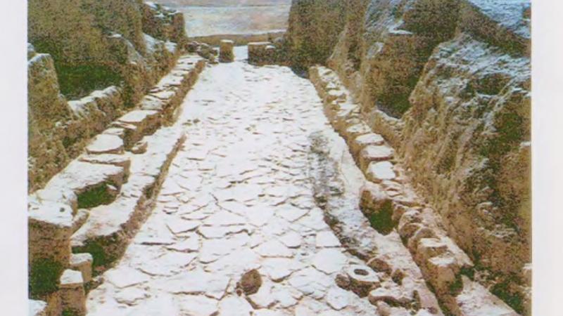 Исследования на городище Сауран в 2008 году