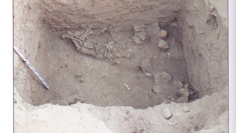2009 ж. «Мерке түрктік мәдени кешені» жобасы бойынша жүргізілген археологиялық зерттеулер