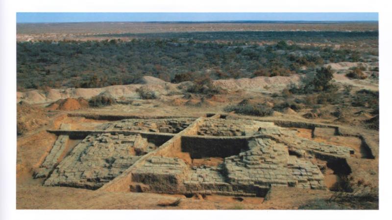 Археологические работы на городище Чирик-Рабат в 2008 году