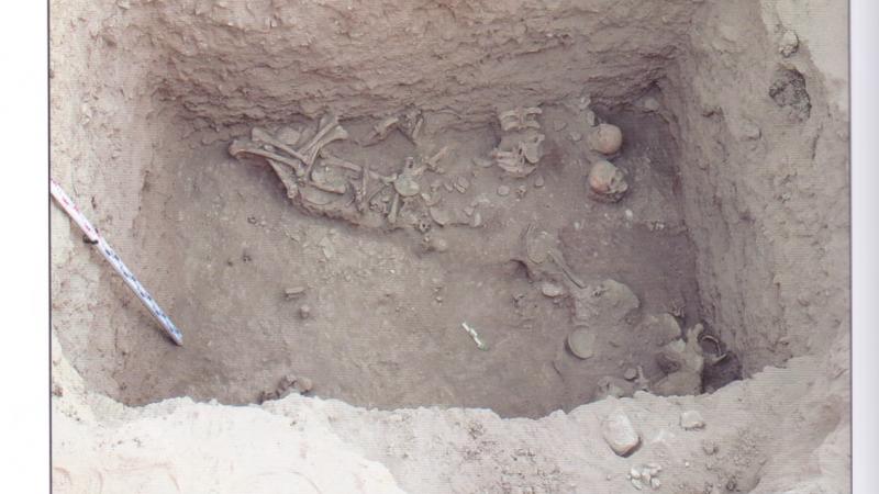 Лесби порно «Пионер қыздар: күнә жемісі» порно фильмін көріңіз.