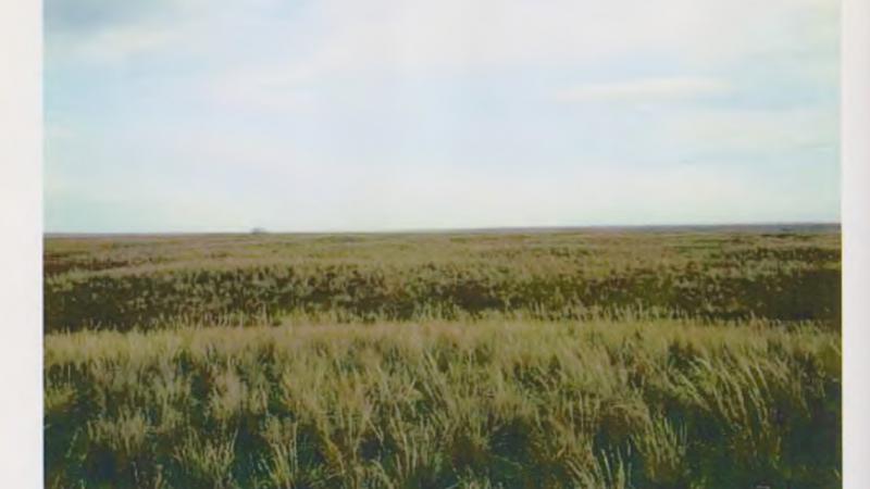 Археологические исследования на н. Кырык-Оба II в 2008 г.